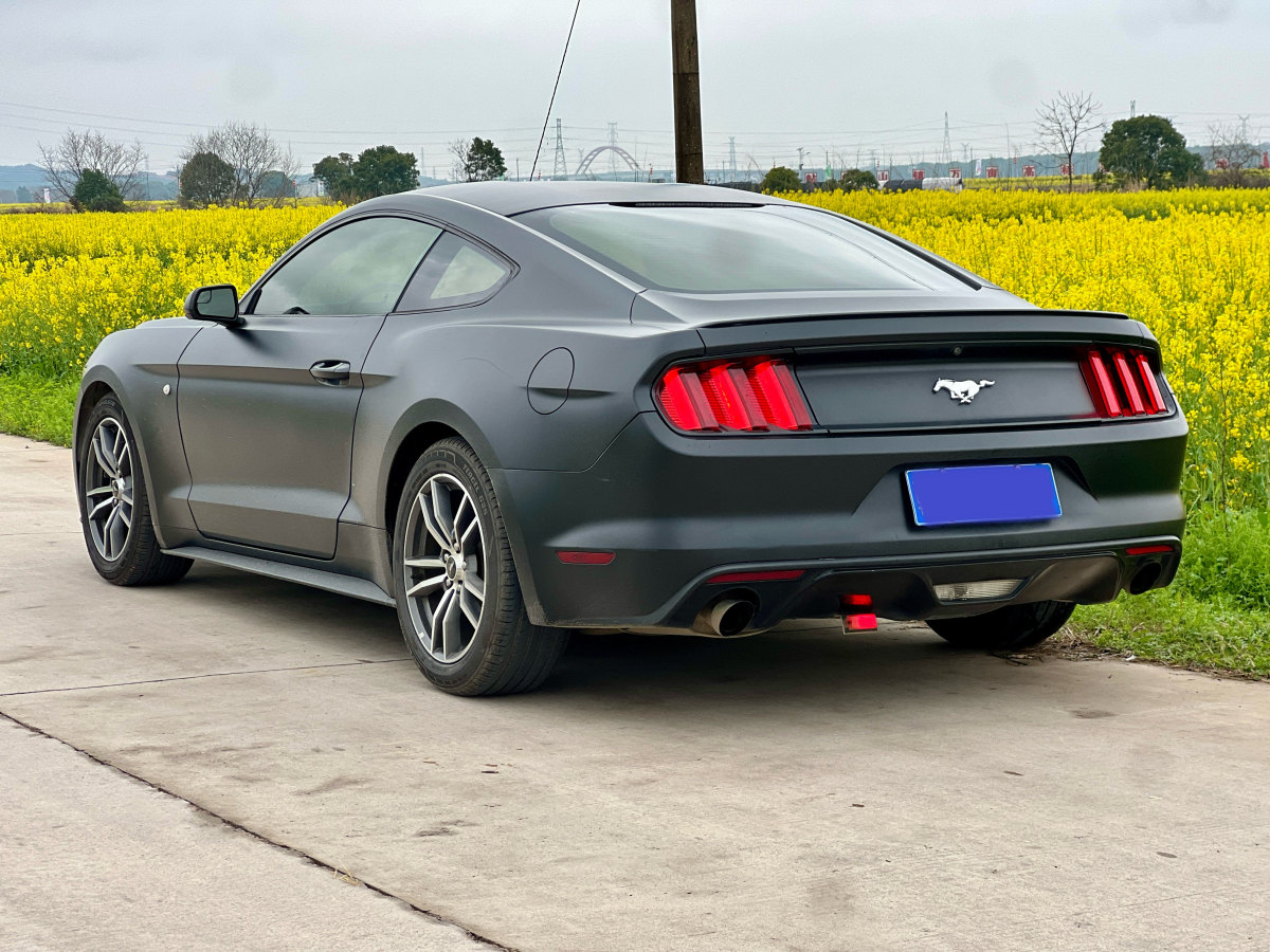 福特 Mustang  2017款 2.3T 性能版圖片