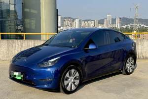 Model Y 特斯拉 改款 长续航全轮驱动版