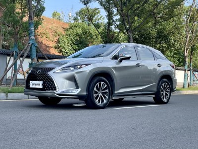 2020年7月 雷克萨斯 RX 300 两驱舒适版 国VI图片