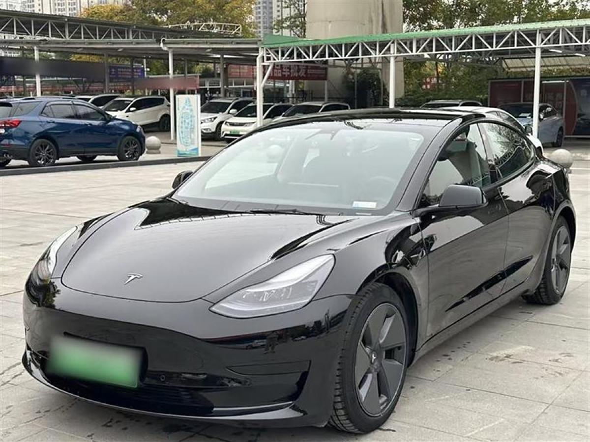 特斯拉 Model 3  2021款 標(biāo)準(zhǔn)續(xù)航后驅(qū)升級(jí)版 3D6圖片