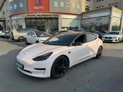 2020年7月 特斯拉 Model 3 改款 長續(xù)航后輪驅(qū)動版圖片