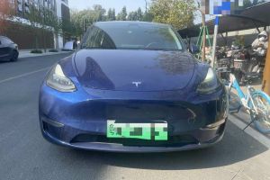 Model 3 特斯拉 Performance高性能全輪驅(qū)動版