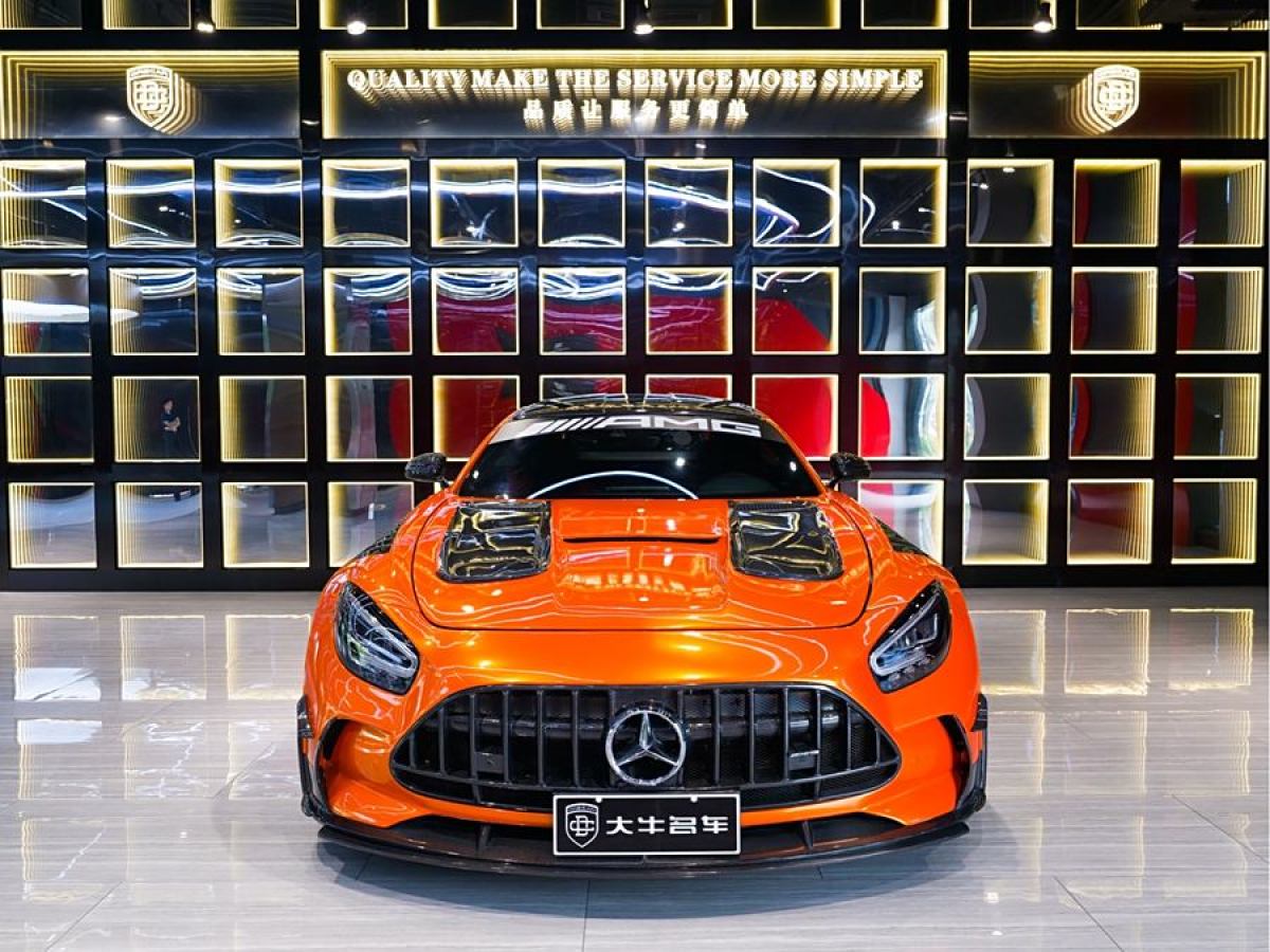 奔馳 奔馳AMG GT  2019款 AMG GT圖片