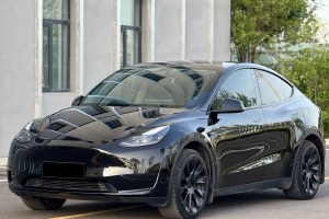 Model Y 特斯拉 后輪驅(qū)動版