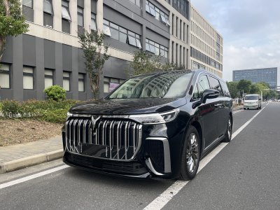 2024年10月 嵐圖 夢想家 PHEV 超長續(xù)航旗艦版圖片