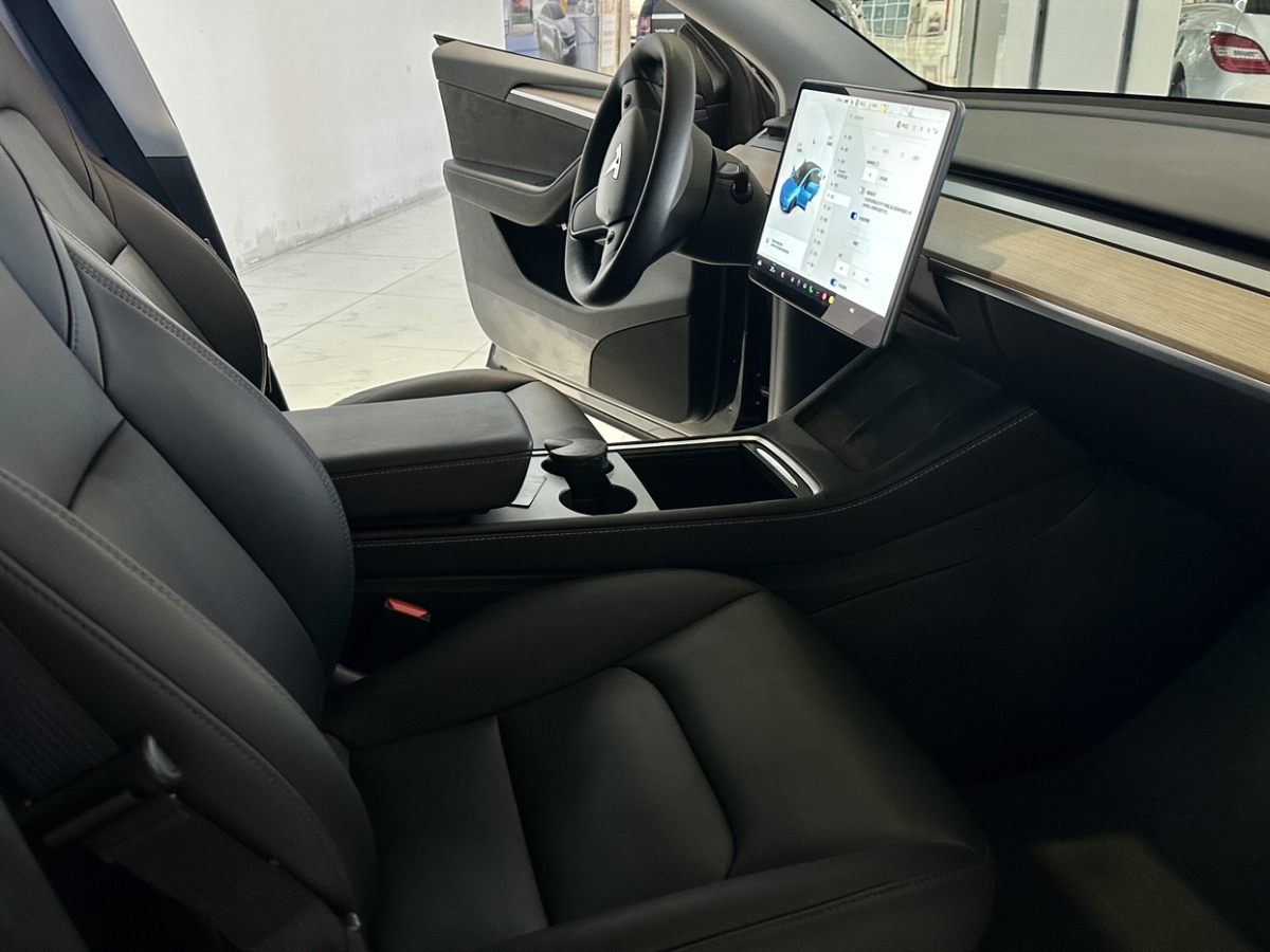 特斯拉 Model Y  2021款 標(biāo)準(zhǔn)續(xù)航后驅(qū)版圖片