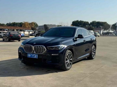 2021年1月 宝马 宝马X6(进口) xDrive30i M运动套装图片