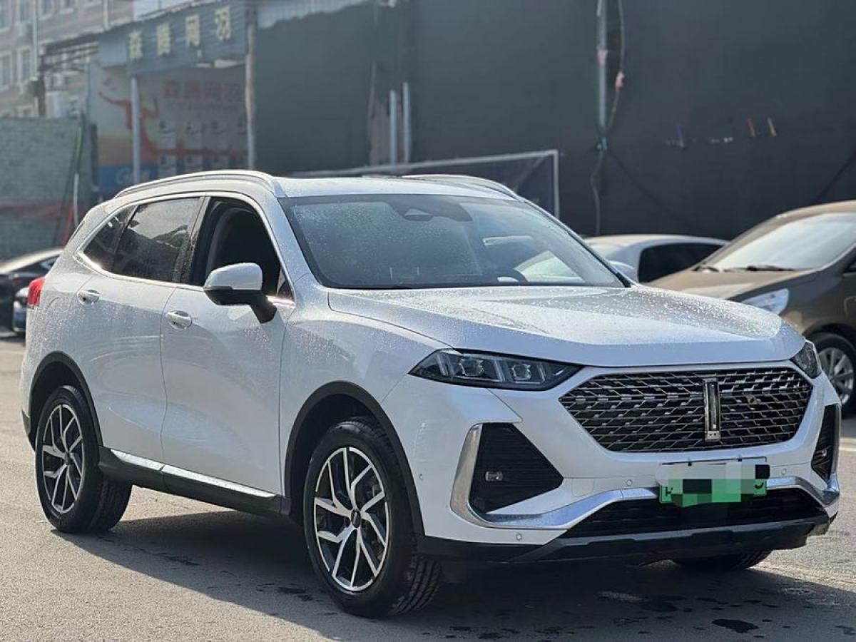 WEY 拿鐵DHT-PHEV  2022款 1.5T 四驅超大杯圖片