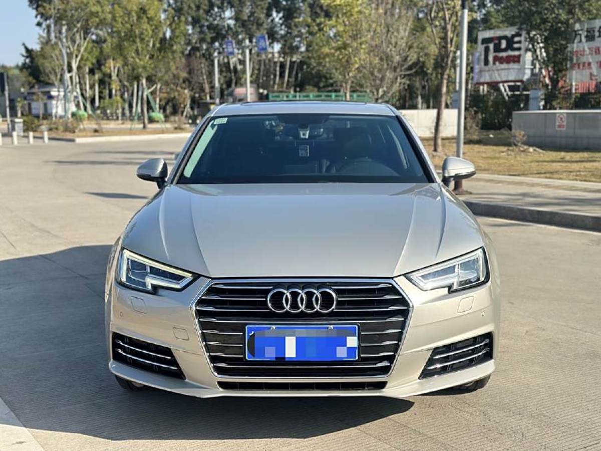 奧迪 奧迪A4L  2018款 30周年年型 40 TFSI 進(jìn)取型圖片