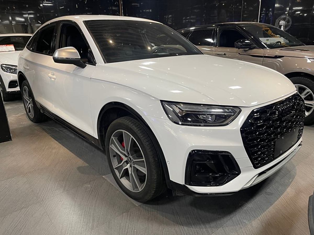 奧迪 奧迪Q5L Sportback  2023款 40 TFSI 冰雪運動版圖片