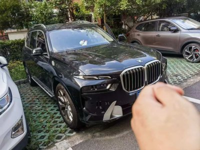 2023年3月 宝马 宝马X7(进口) xDrive40i 领先型豪华套装图片