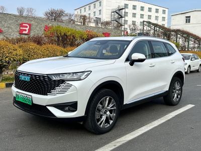 2022年11月 哈弗 哈弗H6新能源 DHT-PHEV 110KM 暢行版圖片