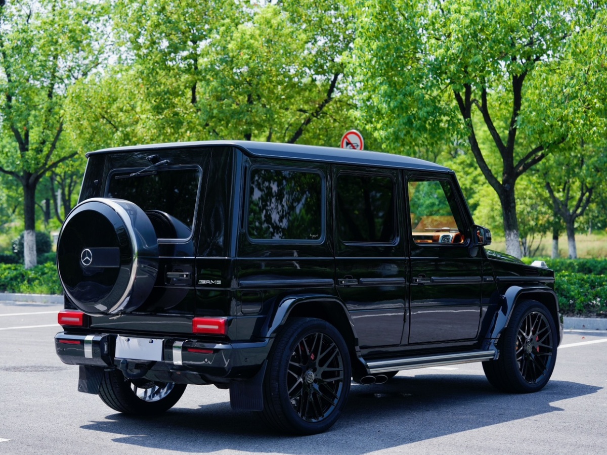 奔馳 奔馳G級(jí)AMG  2009款 AMG G 55圖片