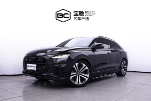 2022年1月奧迪 奧迪Q8  55 TFSI 尊享動感型