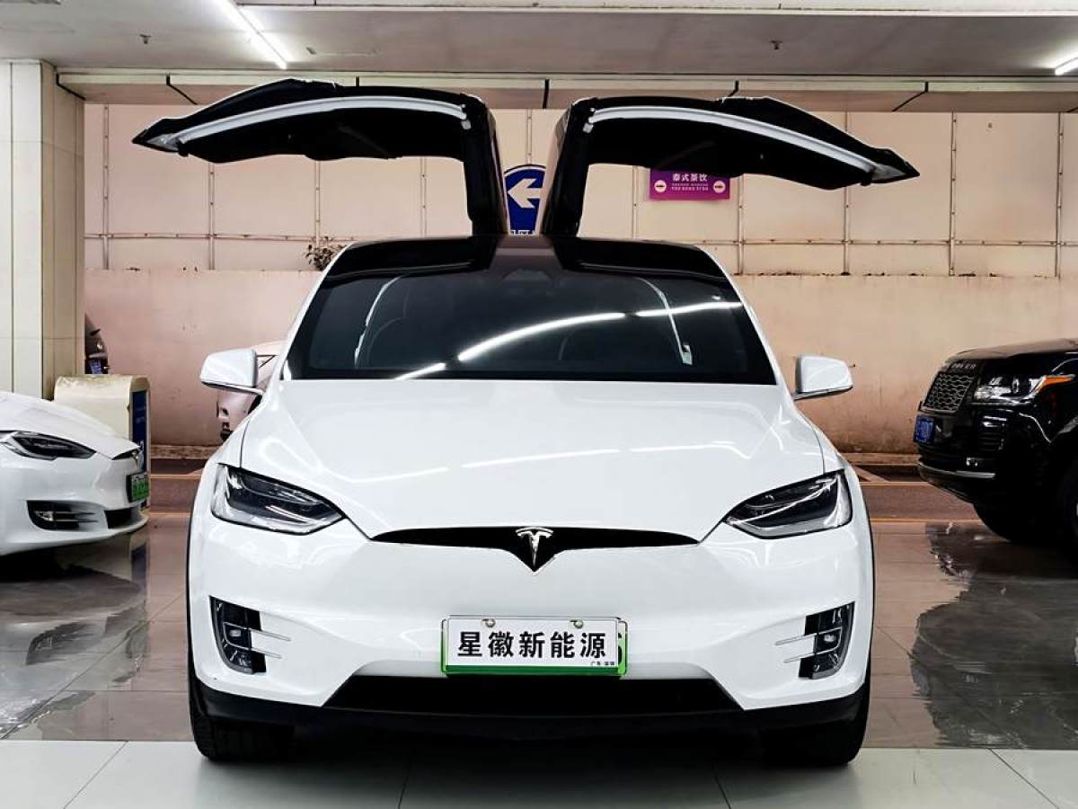 特斯拉 Model X  2020款 長(zhǎng)續(xù)航升級(jí)版圖片