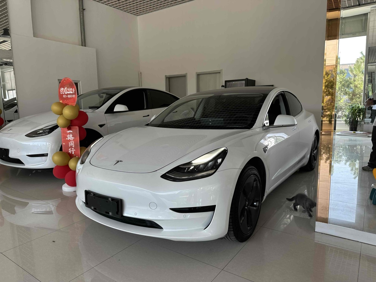 2020年3月特斯拉 Model 3  2019款 標(biāo)準(zhǔn)續(xù)航后驅(qū)升級版