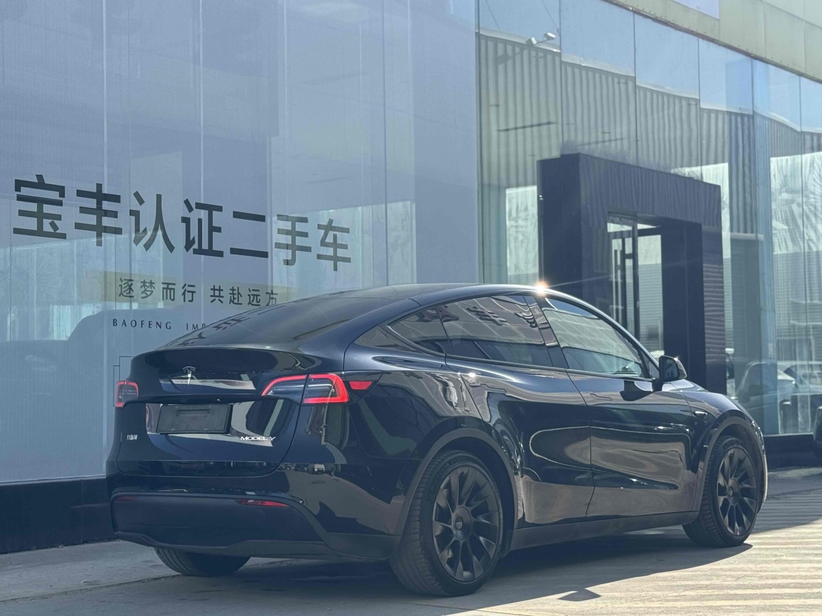 特斯拉 Model 3  2020款 改款 長續(xù)航后輪驅動版圖片