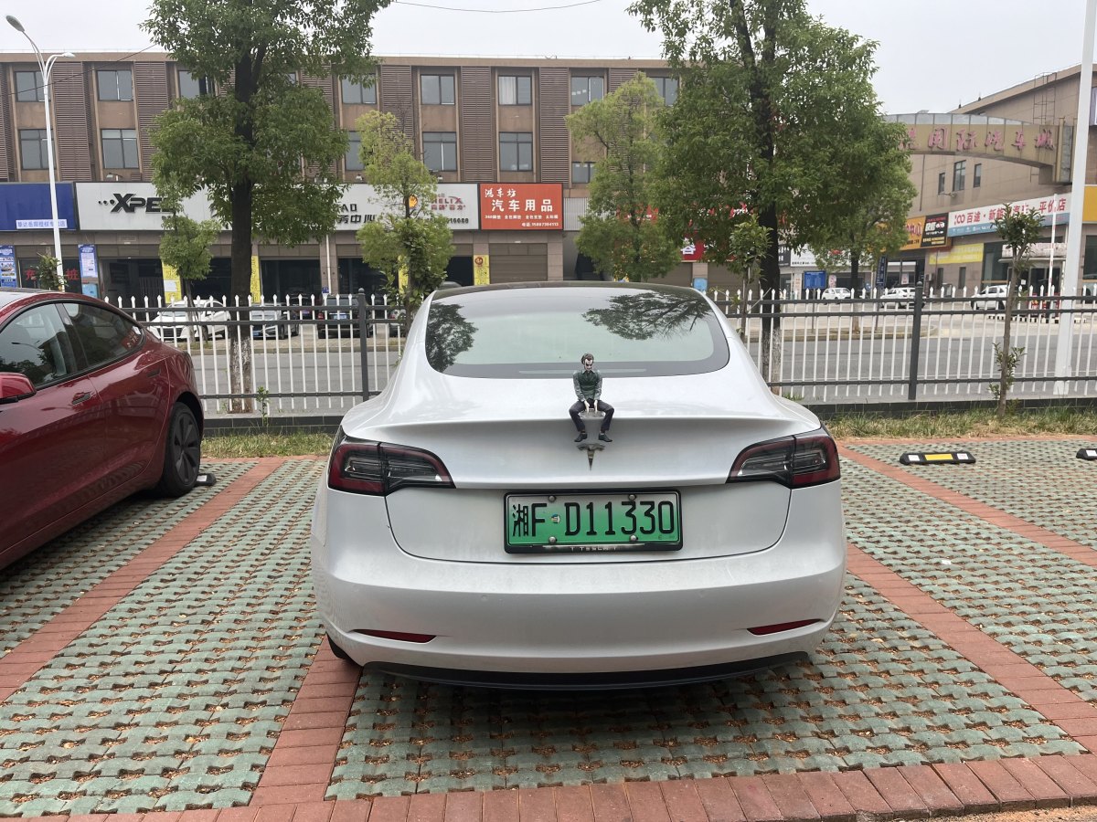 2020年9月特斯拉 Model 3  2019款 標準續(xù)航后驅(qū)升級版