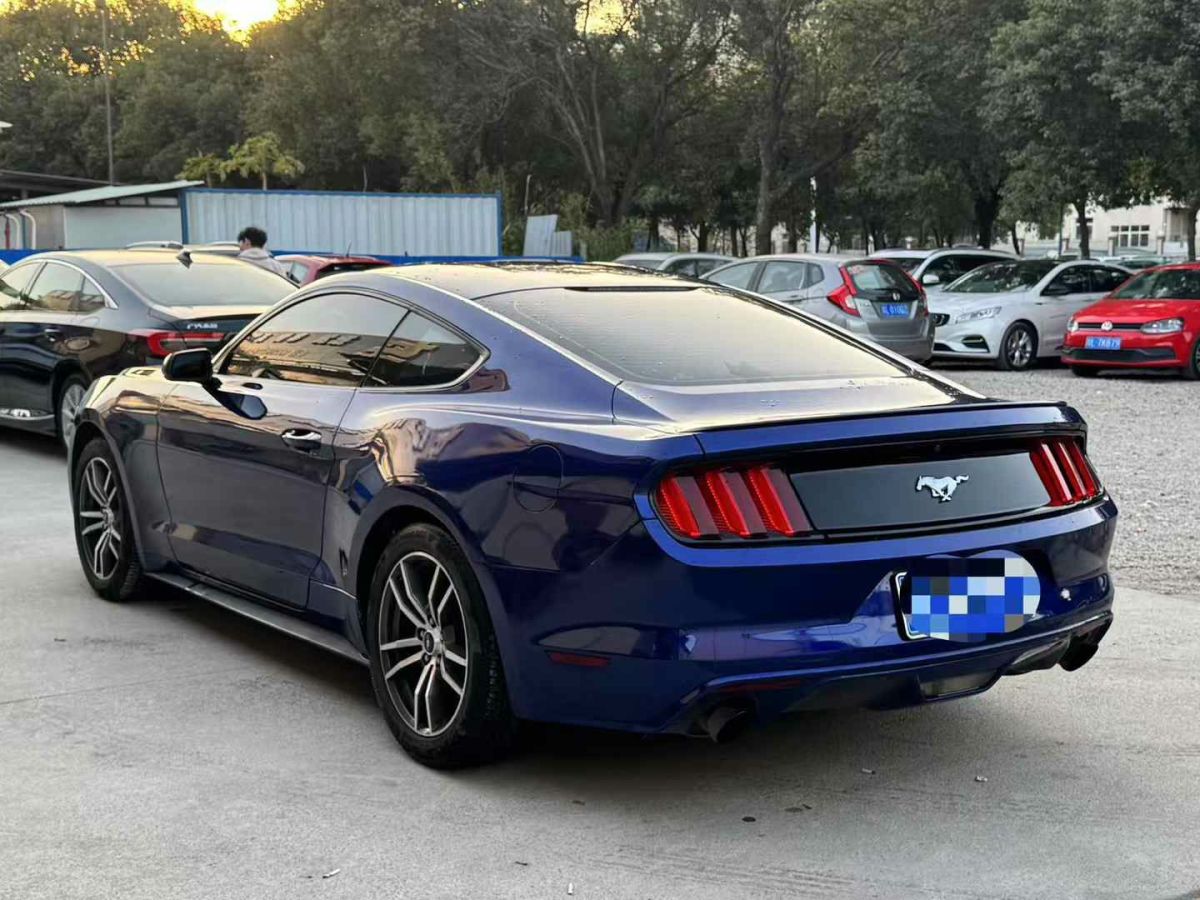 福特 Mustang  2016款 2.3T 性能版圖片