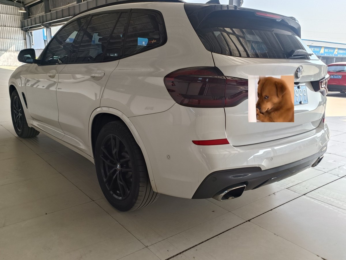 寶馬 寶馬X3  2018款 xDrive30i 領(lǐng)先型 M運(yùn)動(dòng)套裝 國(guó)V圖片