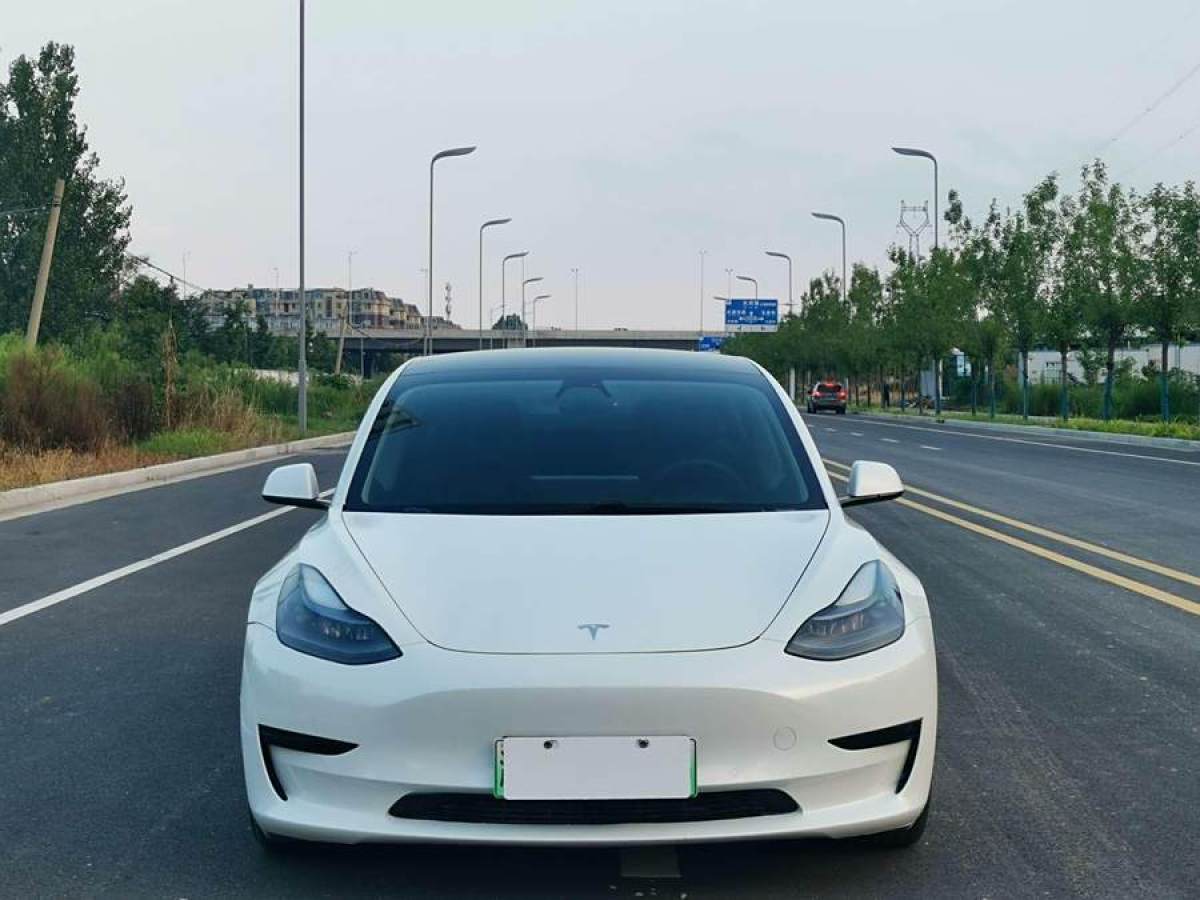 特斯拉 Model 3  2021款 標(biāo)準(zhǔn)續(xù)航后驅(qū)升級版 3D6圖片