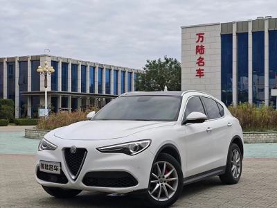 2019年5月 阿尔法·罗密欧 Stelvio 2.0T 200HP 豪华版图片