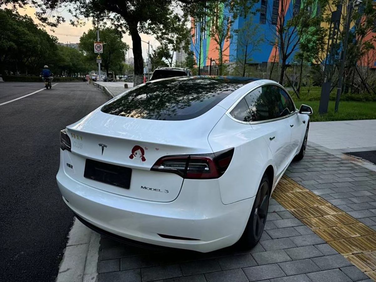 特斯拉 Model 3  2019款 標(biāo)準(zhǔn)續(xù)航后驅(qū)升級版圖片