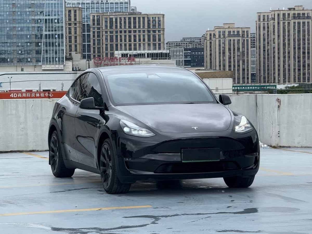 特斯拉 Model Y  2024款 長續(xù)航全輪驅(qū)動(dòng)版圖片