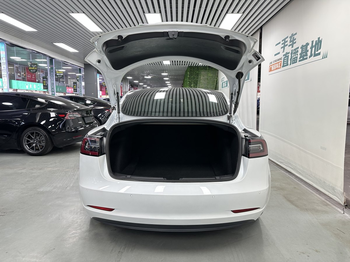 2020年7月特斯拉 Model 3  2020款 改款 長續(xù)航后輪驅(qū)動版