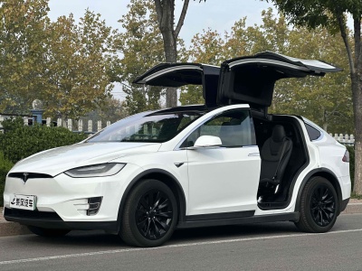 2017年7月 特斯拉 Model X Model X 60D圖片