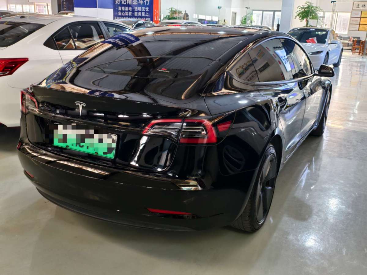 特斯拉 Model 3  2021款 標(biāo)準(zhǔn)續(xù)航后驅(qū)升級(jí)版 3D6圖片