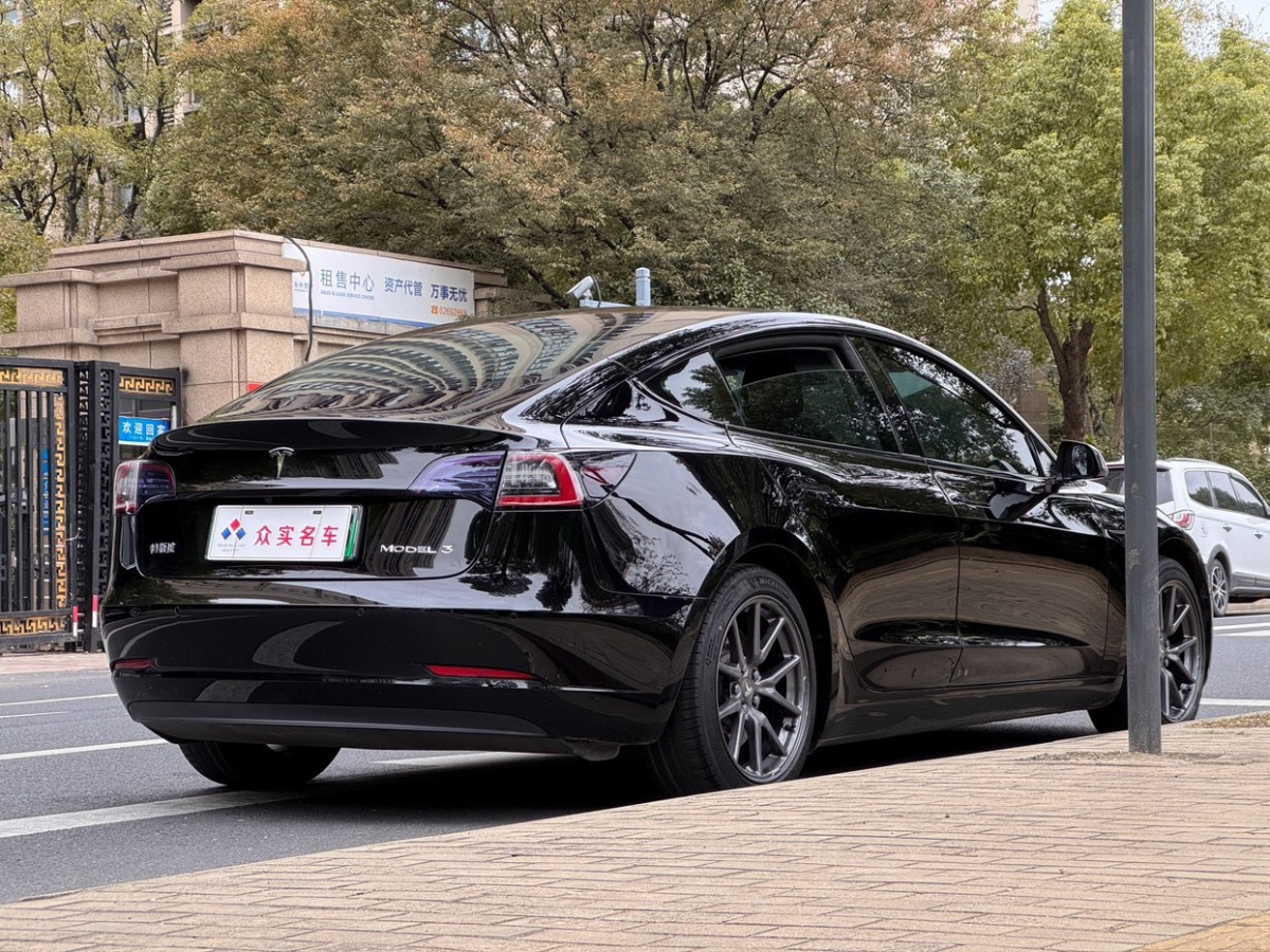 特斯拉 Model 3  2019款 標(biāo)準(zhǔn)續(xù)航后驅(qū)升級(jí)版圖片