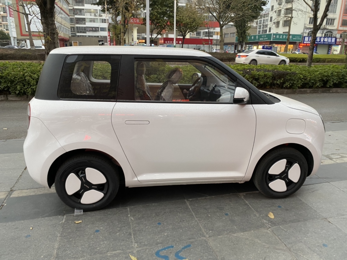 長(zhǎng)安 長(zhǎng)安Lumin  2024款 205km 啟航版圖片