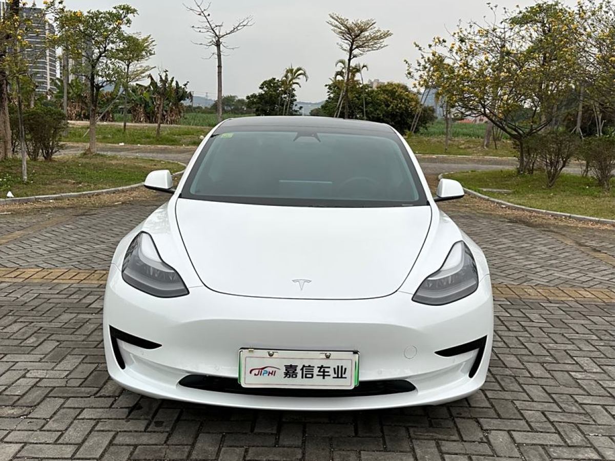 2021年3月特斯拉 Model 3  2021款 改款 標(biāo)準(zhǔn)續(xù)航后驅(qū)升級版