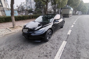 Model 3 特斯拉 標(biāo)準(zhǔn)續(xù)航后驅(qū)升級版 3D6