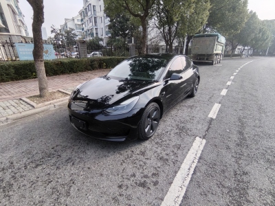 2021年12月 特斯拉 Model 3 標(biāo)準(zhǔn)續(xù)航后驅(qū)升級(jí)版 3D6圖片