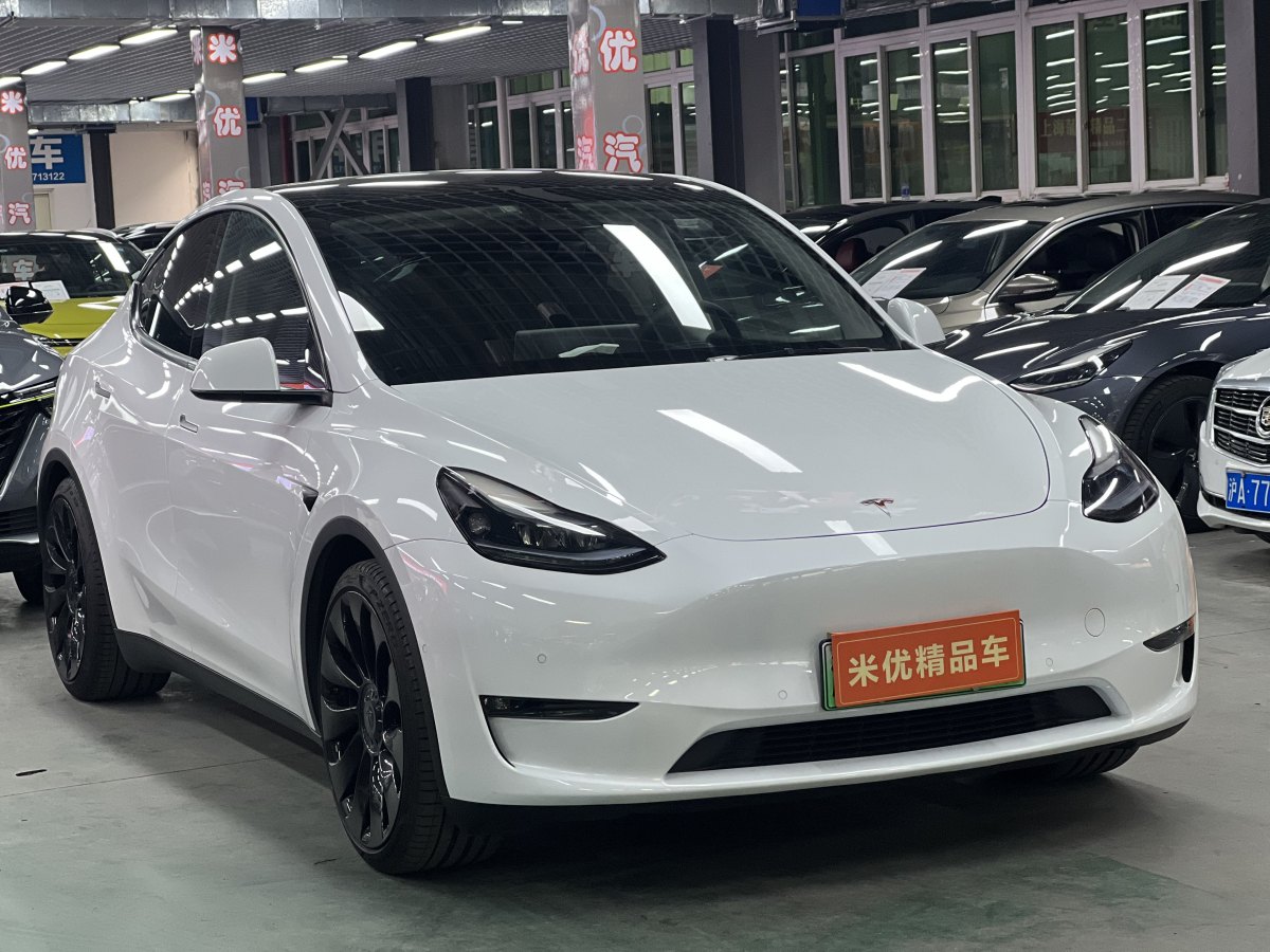 特斯拉 Model 3  2022款 Performance高性能全輪驅(qū)動版圖片