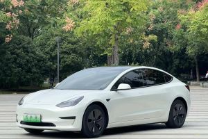 Model S 特斯拉 三电机全轮驱动 Plaid版