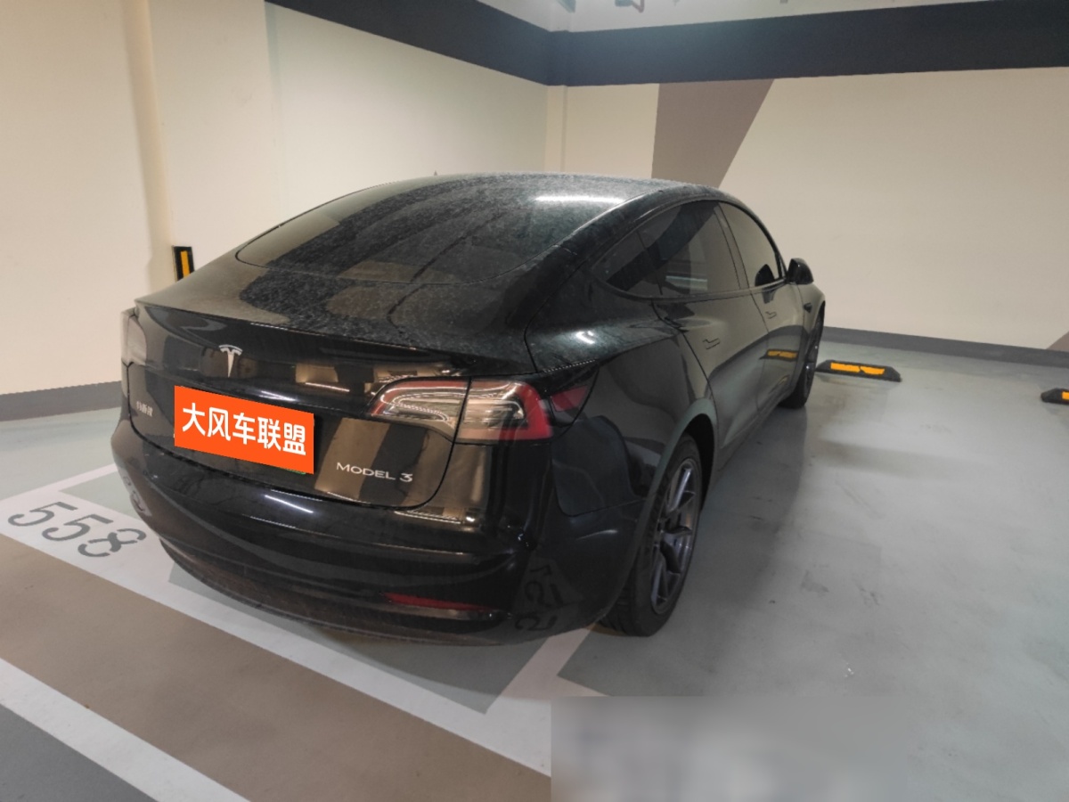 特斯拉 Model 3  2021款 改款 標(biāo)準(zhǔn)續(xù)航后驅(qū)升級(jí)版圖片