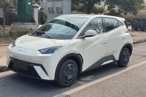 海鷗 比亞迪 305km 活力版