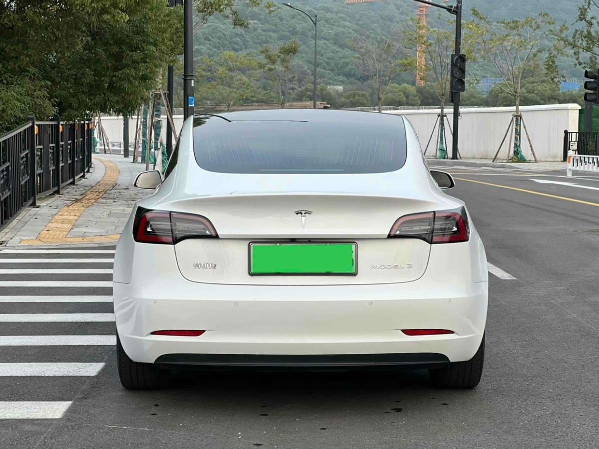 特斯拉 Model Y  2020款 標(biāo)準(zhǔn)續(xù)航后驅(qū)升級版圖片