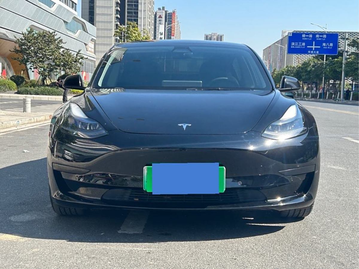 特斯拉 Model 3  2021款 改款 標(biāo)準(zhǔn)續(xù)航后驅(qū)升級版圖片