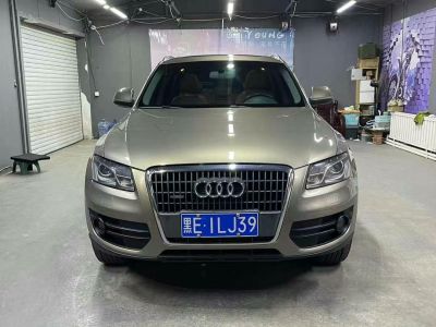 2010年1月 奥迪 奥迪Q5(进口) Q5 2.0TSI 首发限量版运动版图片