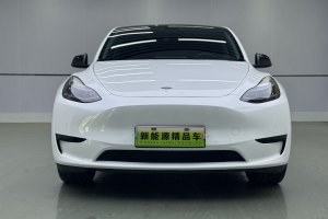 Model 3 特斯拉 改款 长续航后轮驱动版