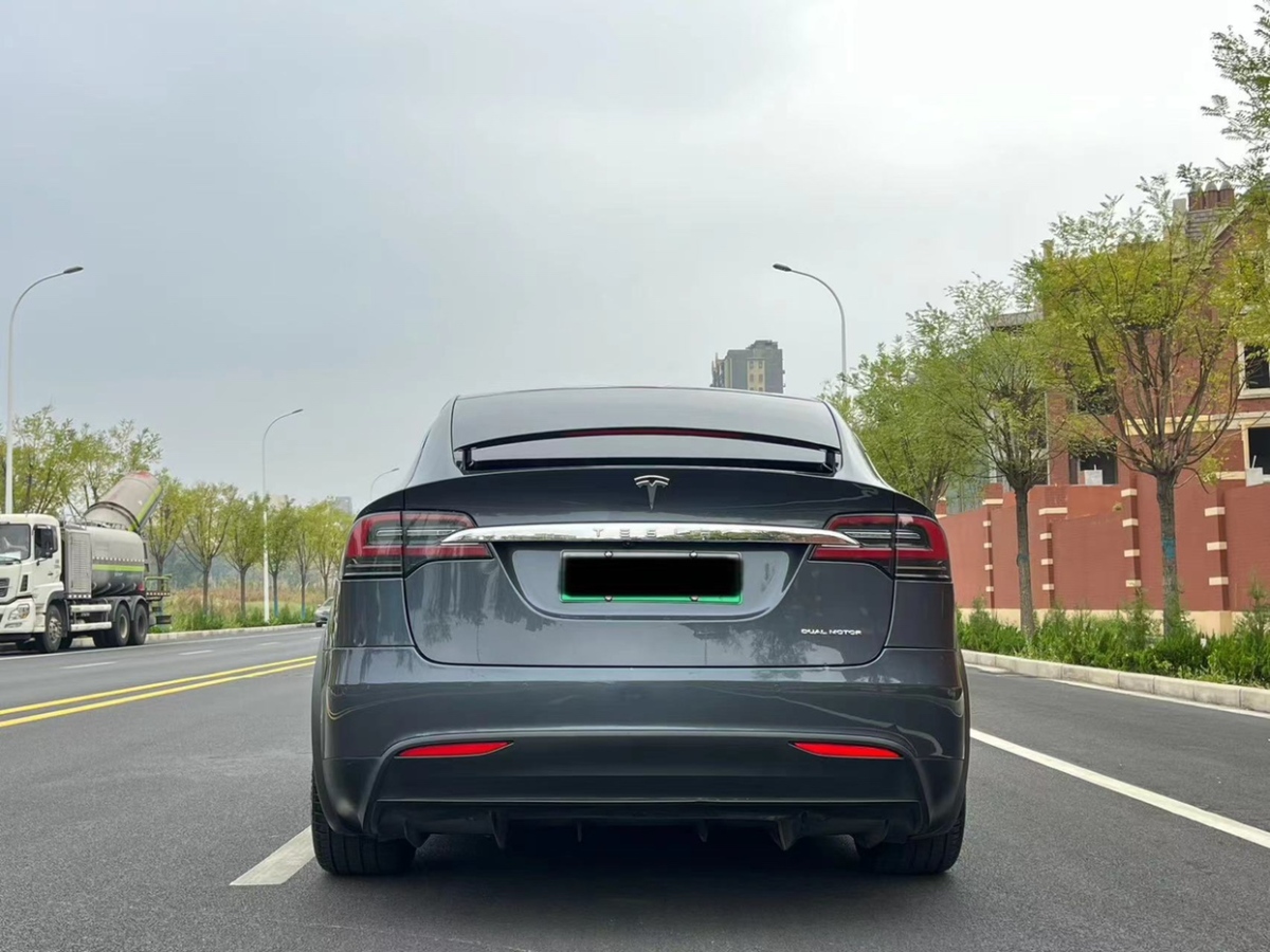 特斯拉 Model X  2020款 長續(xù)航升級版圖片