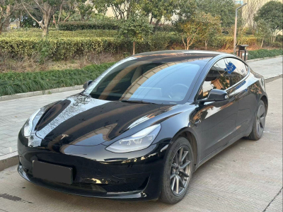 2022年7月 特斯拉 Model 3 后輪驅動版圖片