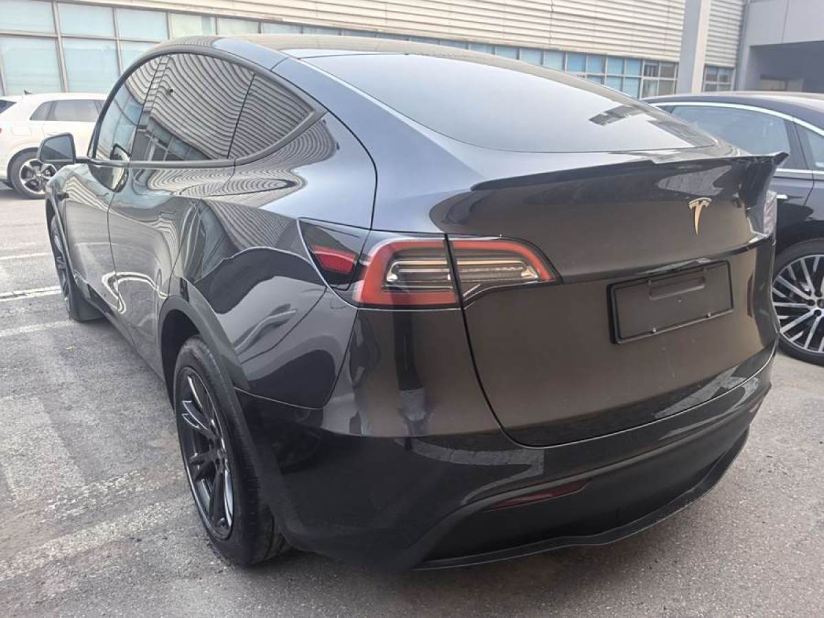 特斯拉 Model 3  2020款 改款 長續(xù)航后輪驅動版圖片