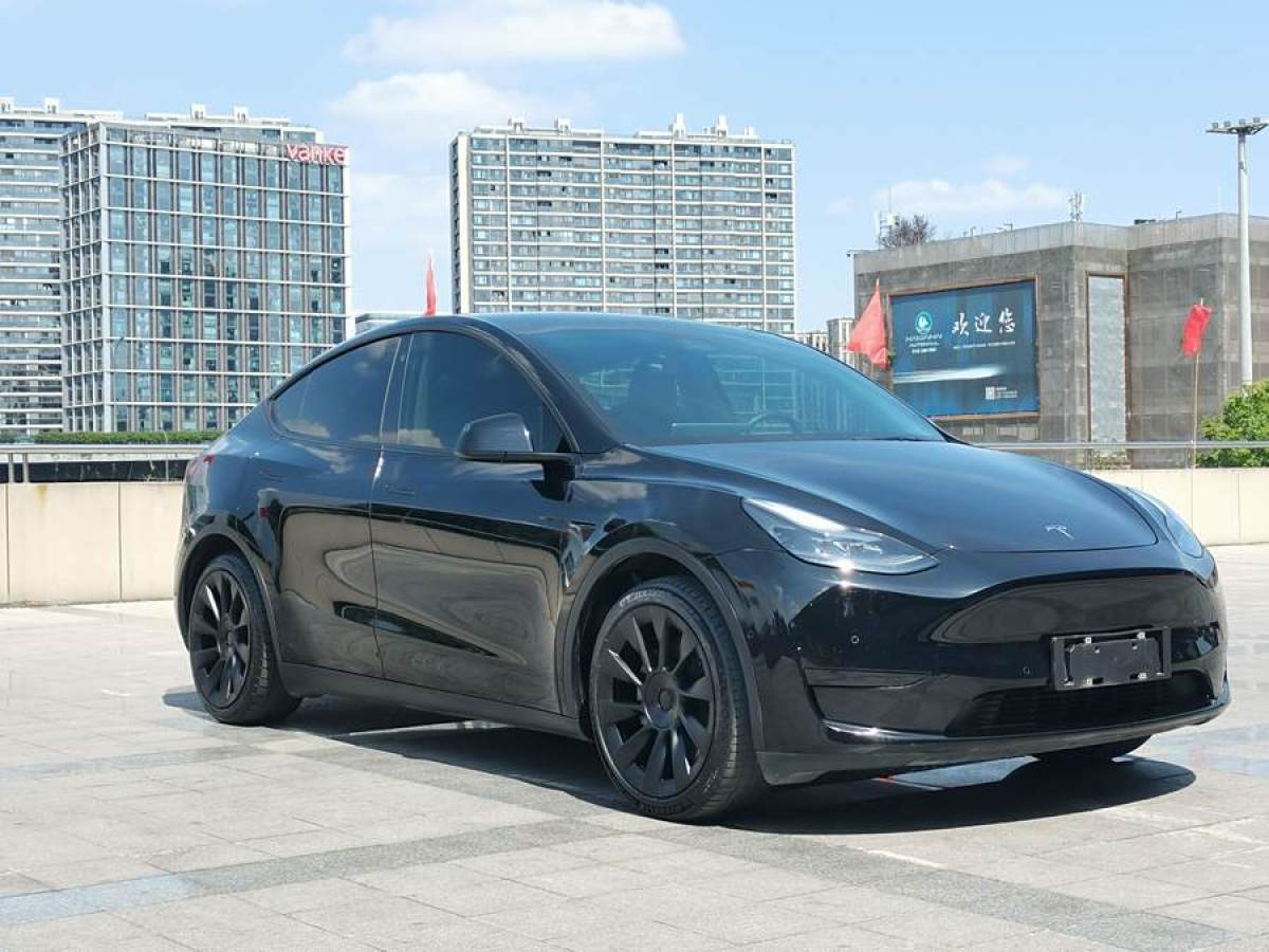 2022年3月特斯拉 Model Y  2022款 后輪驅(qū)動(dòng)版