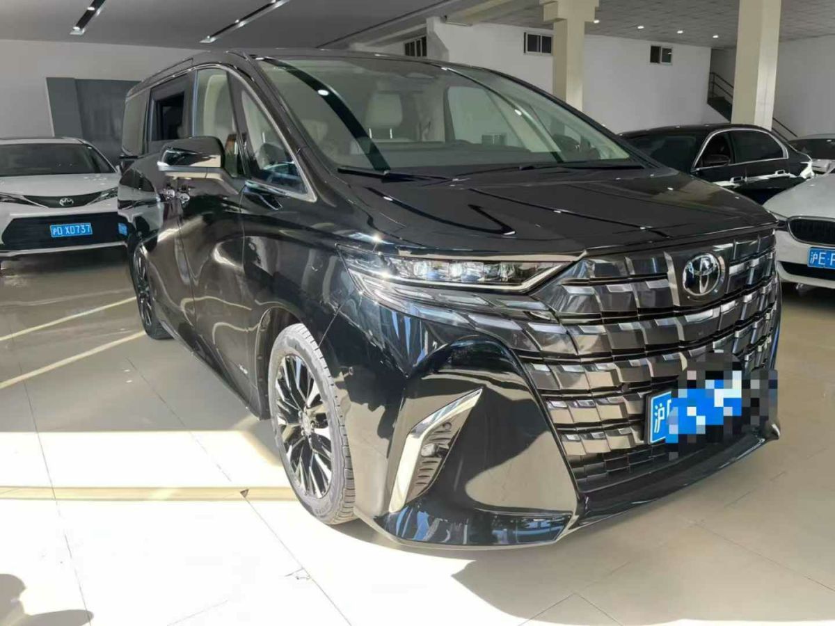 奔馳 禮驪汽車V級(jí)  2023款 醒獅系列 2.0T 琥 7座圖片