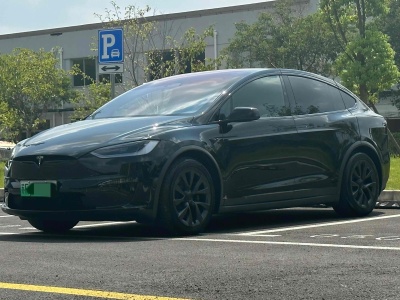 2024年5月 特斯拉 Model X 雙電機(jī)全輪驅(qū)動版圖片